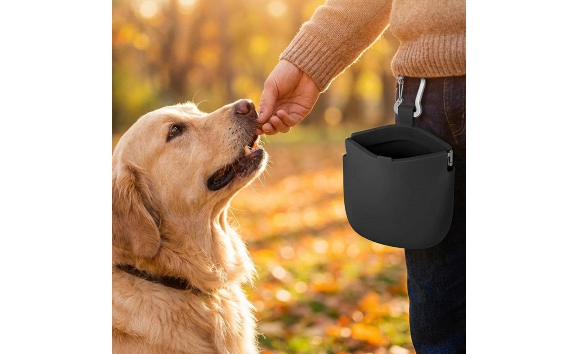Pet Training Pouch Long-Lasting Dog Treat Bag Waterproof for Outdoor