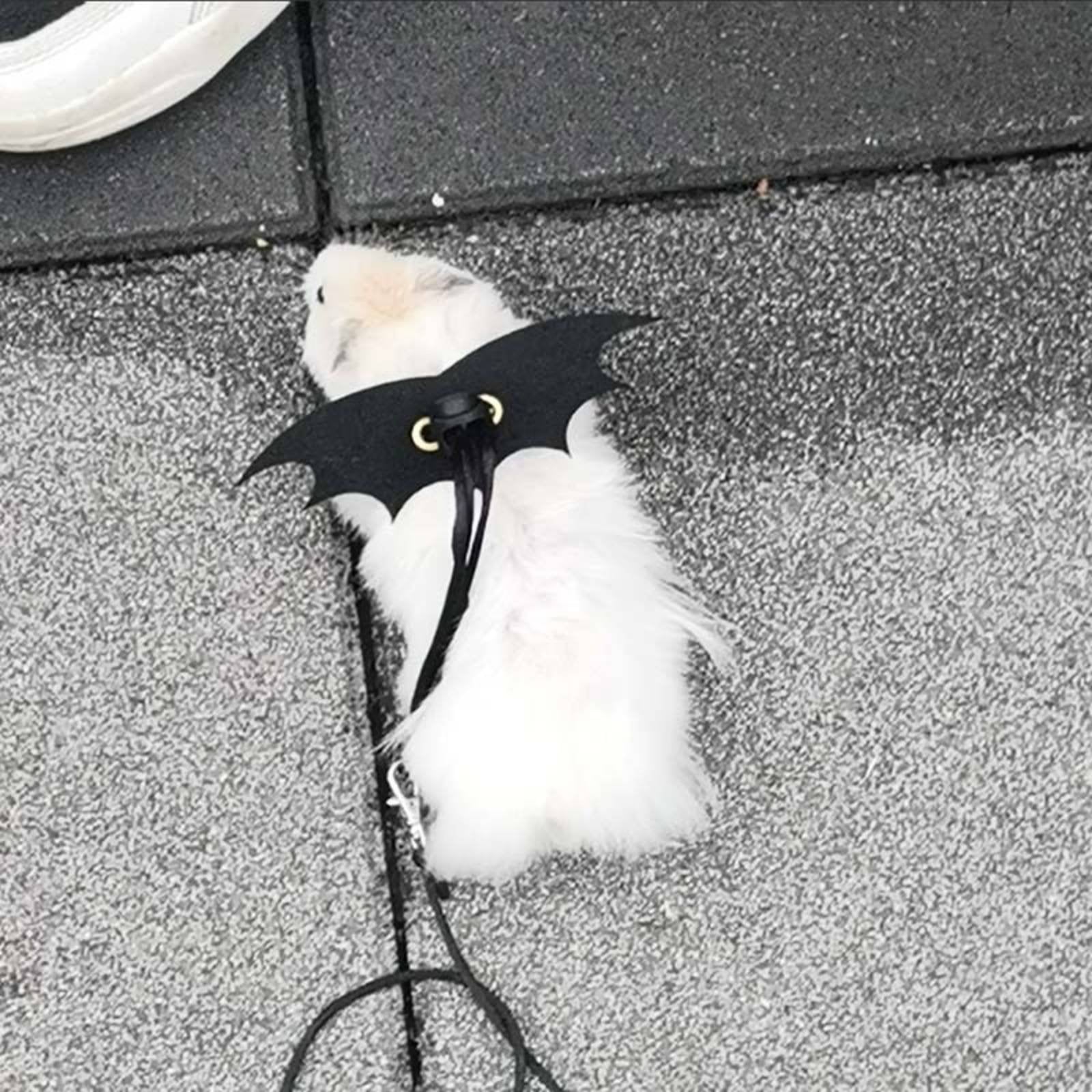 Hamster Leash and Harness Hamster Walking Leash Easy to Wear Sugar Glider Walking Vest for Squirrels