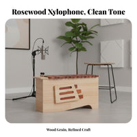13-Bar Soprano Xylophone Resonator Box Colorful Bar Xylophone Diatonic Scale Includes 2 Mallets for Beginners, Classroom, School