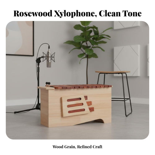 13-Bar Soprano Xylophone Resonator Box Colorful Bar Xylophone Diatonic Scale Includes 2 Mallets for Beginners, Classroom, School