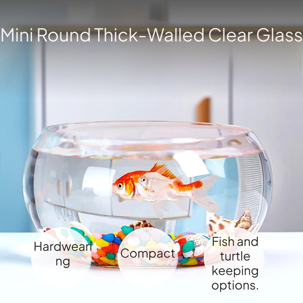 Mini Glass Fish Bowl Set, Thickened Round Desktop Aquarium