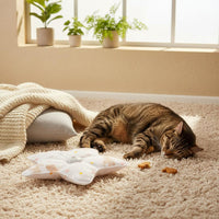 Automatic Cat Teaser Unleashes Instincts Hide and Seek Cat Toy for Cats
