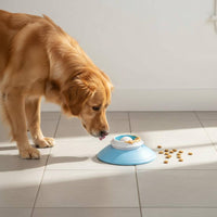 Dog Lick Plate Slow Feeder Bowl Easy to Clean for Home, Training, Dogs
