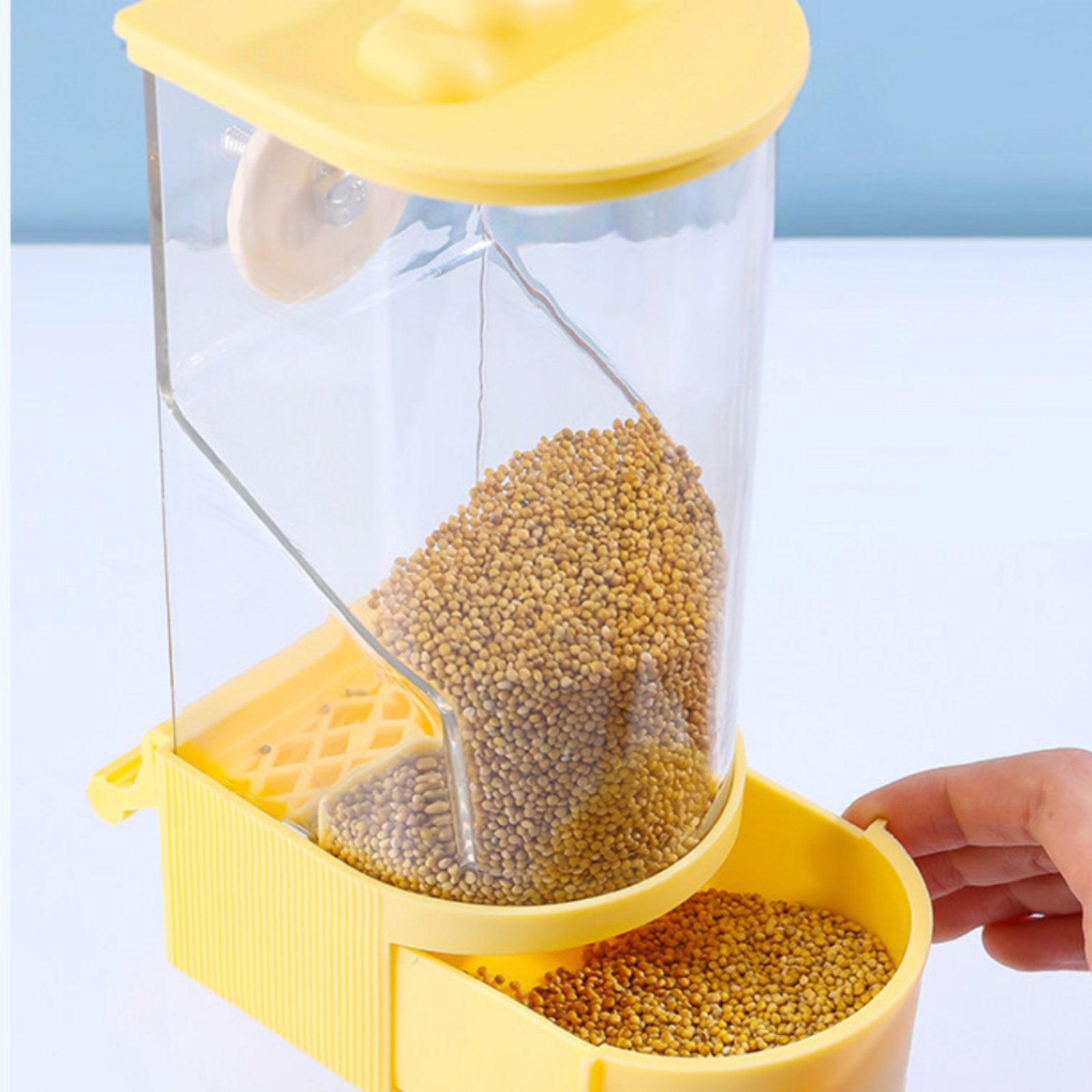 Hanging Parrot Food Dispenser Large Capacity Parrot Feeder Box Transparent Pet Supply for Parrots, Small Birds