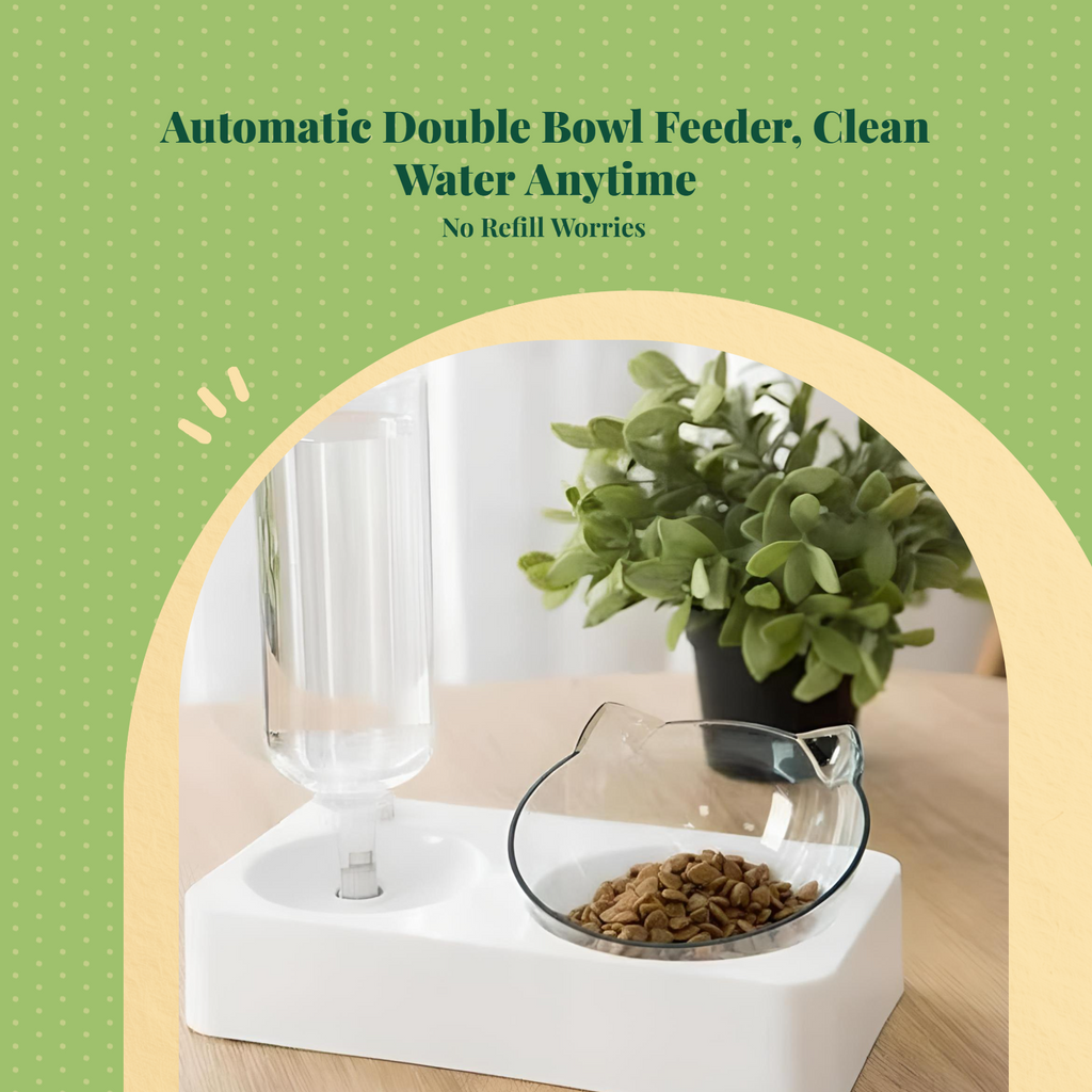 Raised non-slip pet waterer
