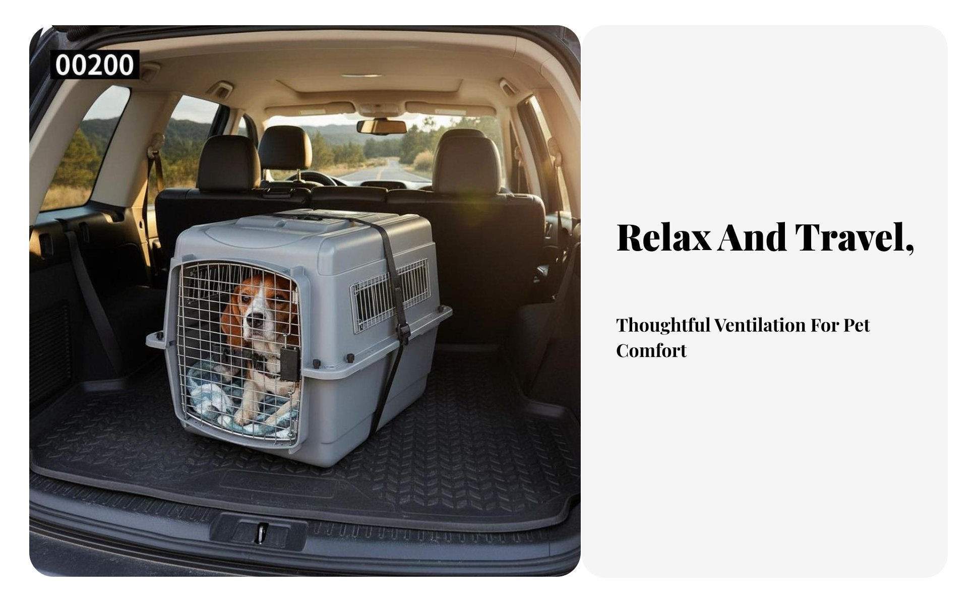 Airline-Approved Design Hard-Sided Travel Crate Portable Hard-Sided Pet transport robustDuty Construction Dog Kennel safety latch for Travelers with companion animals, Cat Owners, Car journeys, veterinarian Visits, Outdoor Excursions