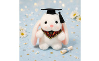 Cap and Gown Rabbit Gift Idea Graduation Rabbit Stuffed Toy Rolled Scroll