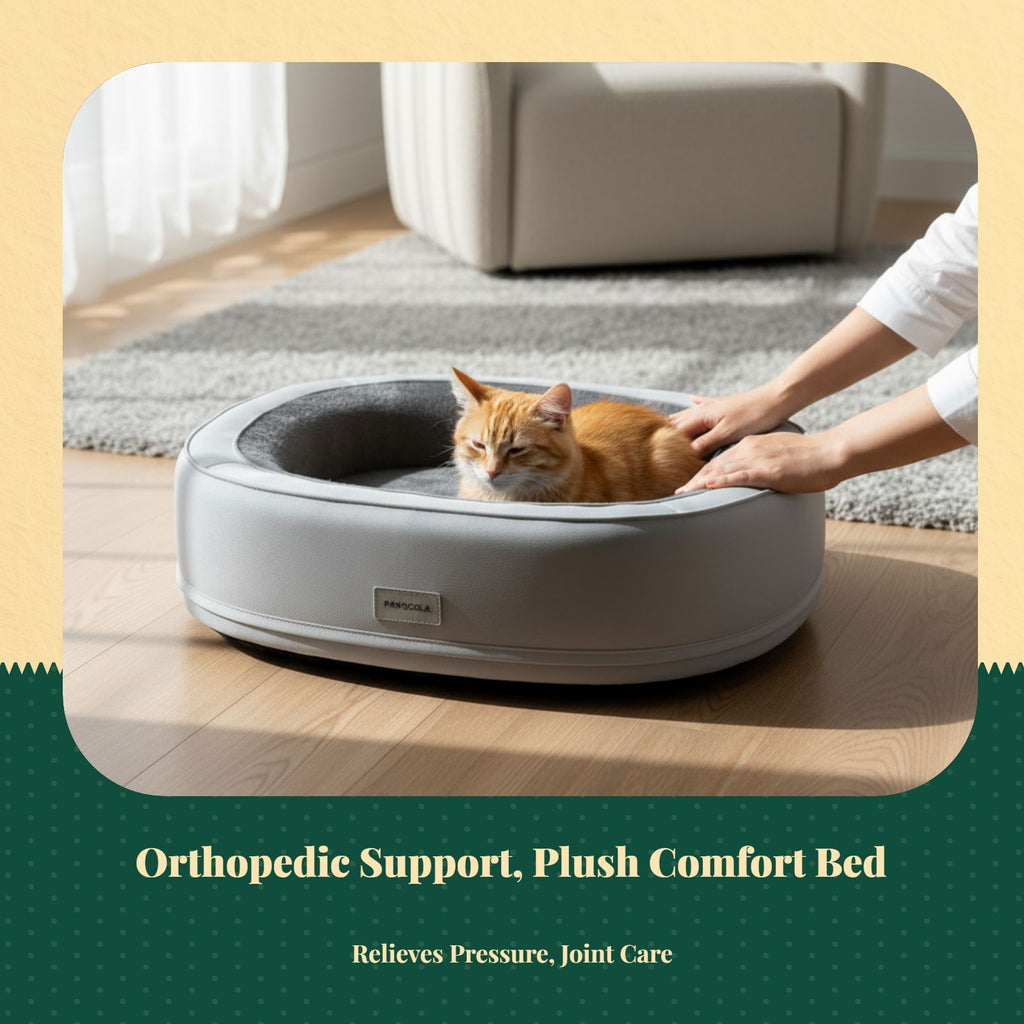 Orthopedic dog bed, thick padding