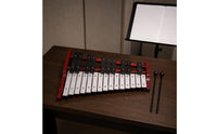 25 Note Xylophone Early Learning Music Education Glockenspiel Musical Training