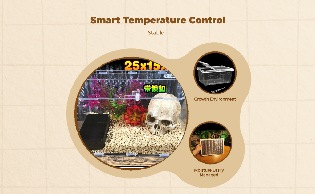 Ventilated gecko terrarium