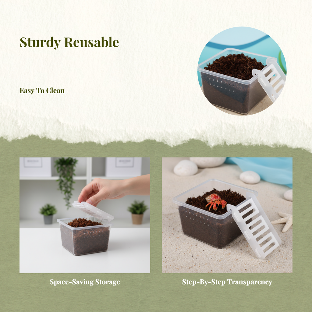 Hermit Crustacean Molting Isolation Habitat Setup Container