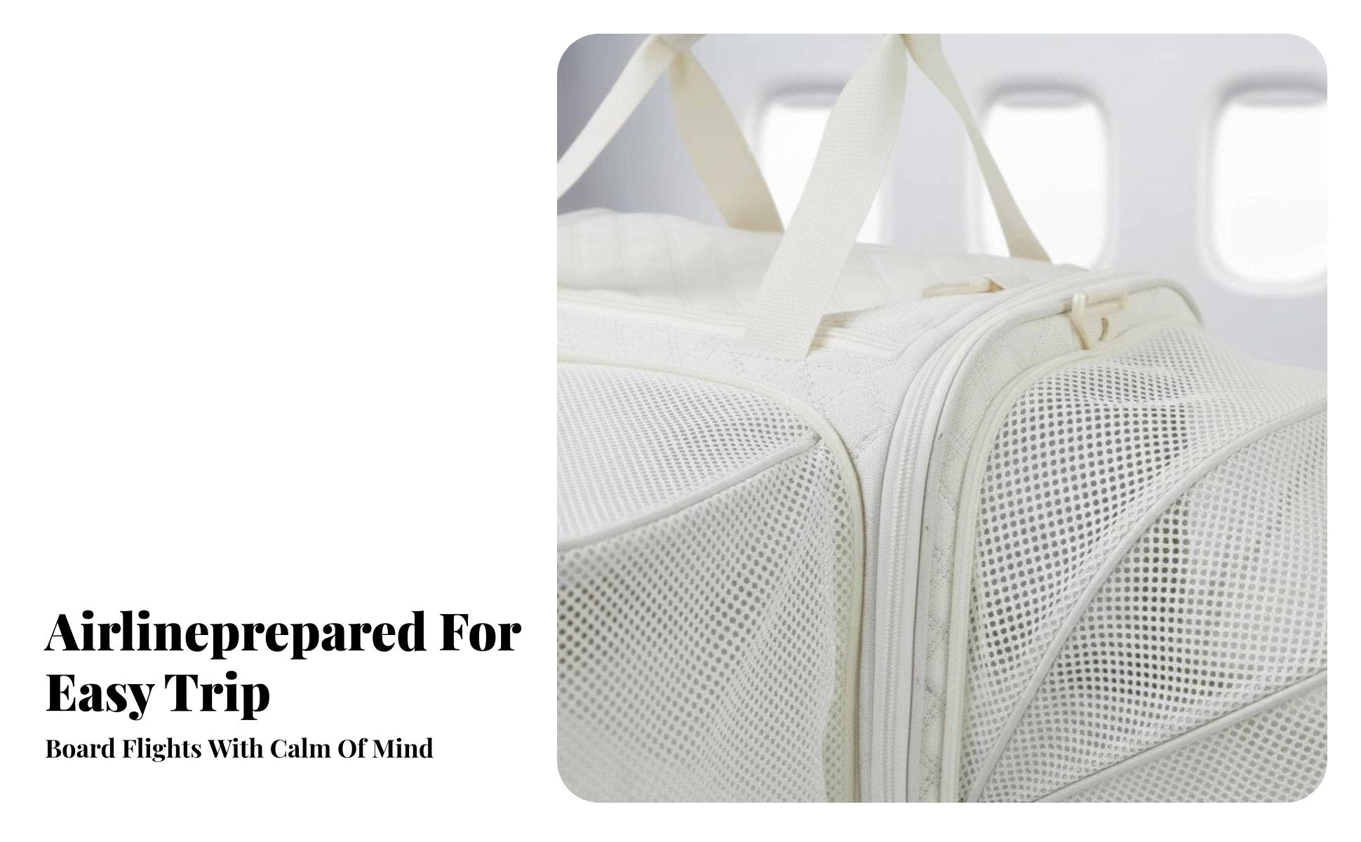 Airline Approved Pet Carrier Large Capacity Soft-Sided Pet Carrier for Car Rides