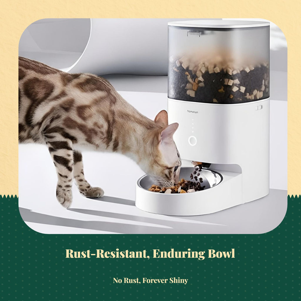 Automatic Pet Feeder Bowl, Stainless Steel, Portion Control, Programmable Cat Dog Food Dispenser