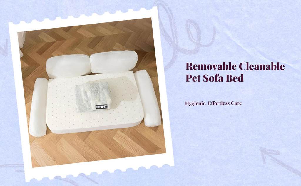 Orthopedic dog bed with removable cover