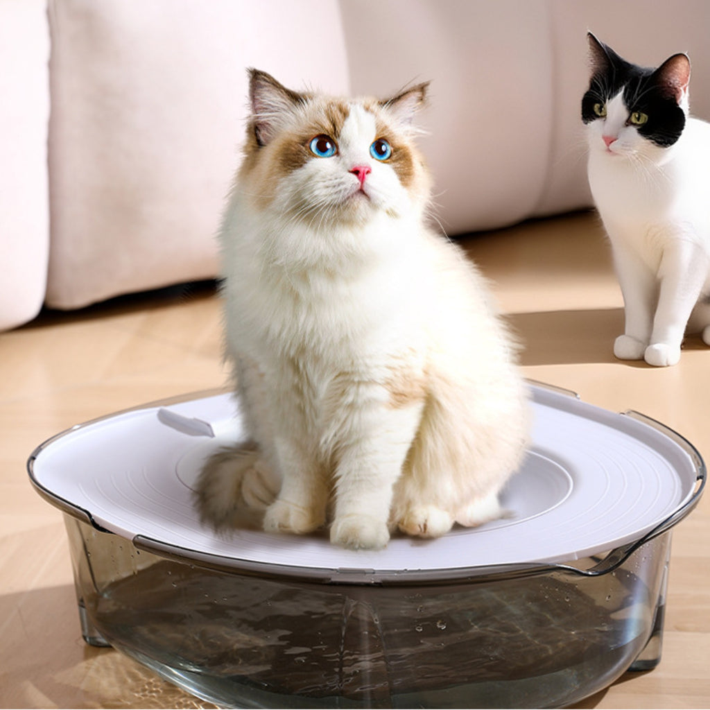 Portable Pet Toilet Thickened Base Pet Hygiene Product Stable Support