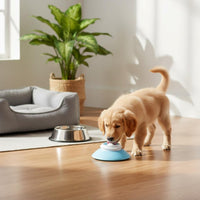Dog Lick Plate Slow Feeder Bowl Easy to Clean for Home, Training, Dogs