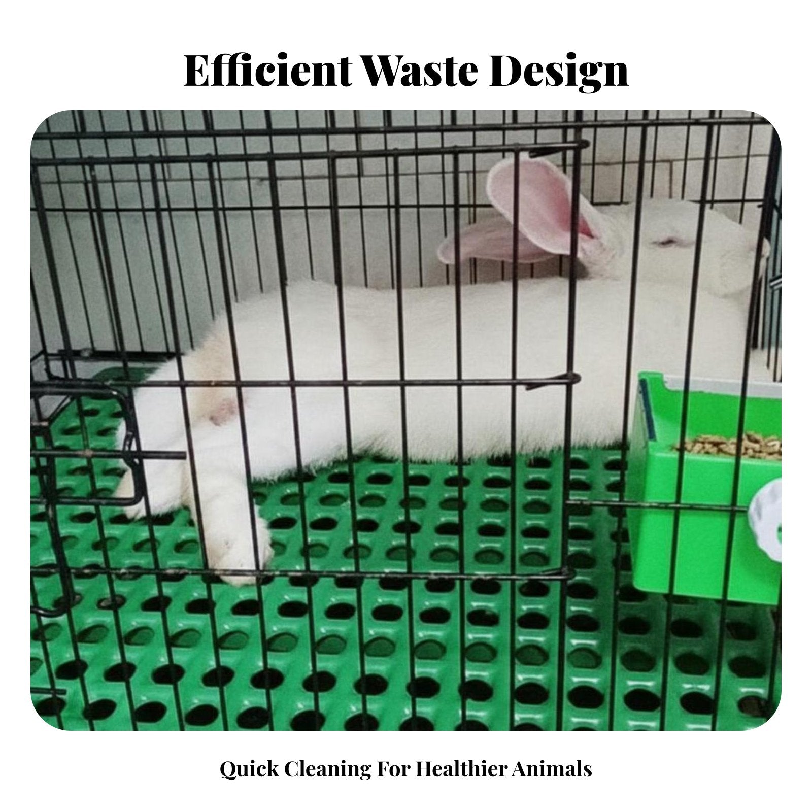 Perforated enclosure Floor Mat chew-resistant Pet Foot protective pad Easy to Clean for small animal Owners