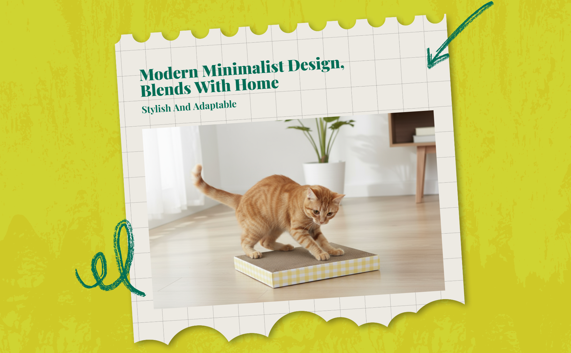 Cardboard Cat Scratcher Lounge