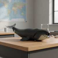 Realistic Bowhead Marine Mammal Model Educational Bowhead Marine Mammal Figurine Collectible Animal Figure for Classroom