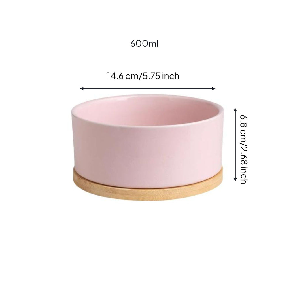 Ceramic pet fountain with filtration