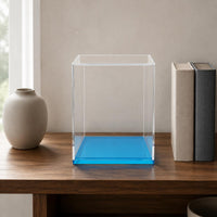 Dustproof Display Container Transparent Acrylic Display Container Rigid