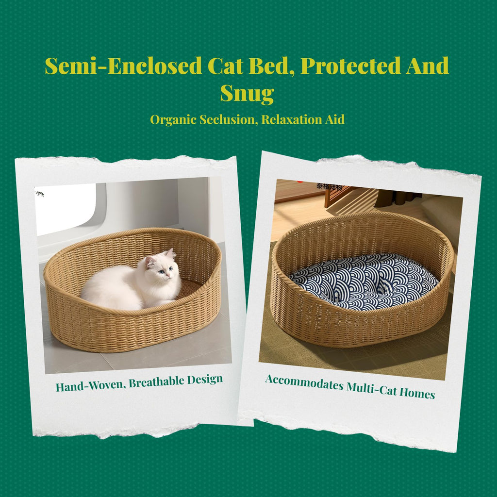 Woven cat bed with removable cushion