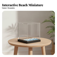 Black Base Beach Diorama Transparent Miniature Display Case