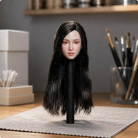 1/6 Female Head Piece Realistic Face Female Figure Head Braided Hair
