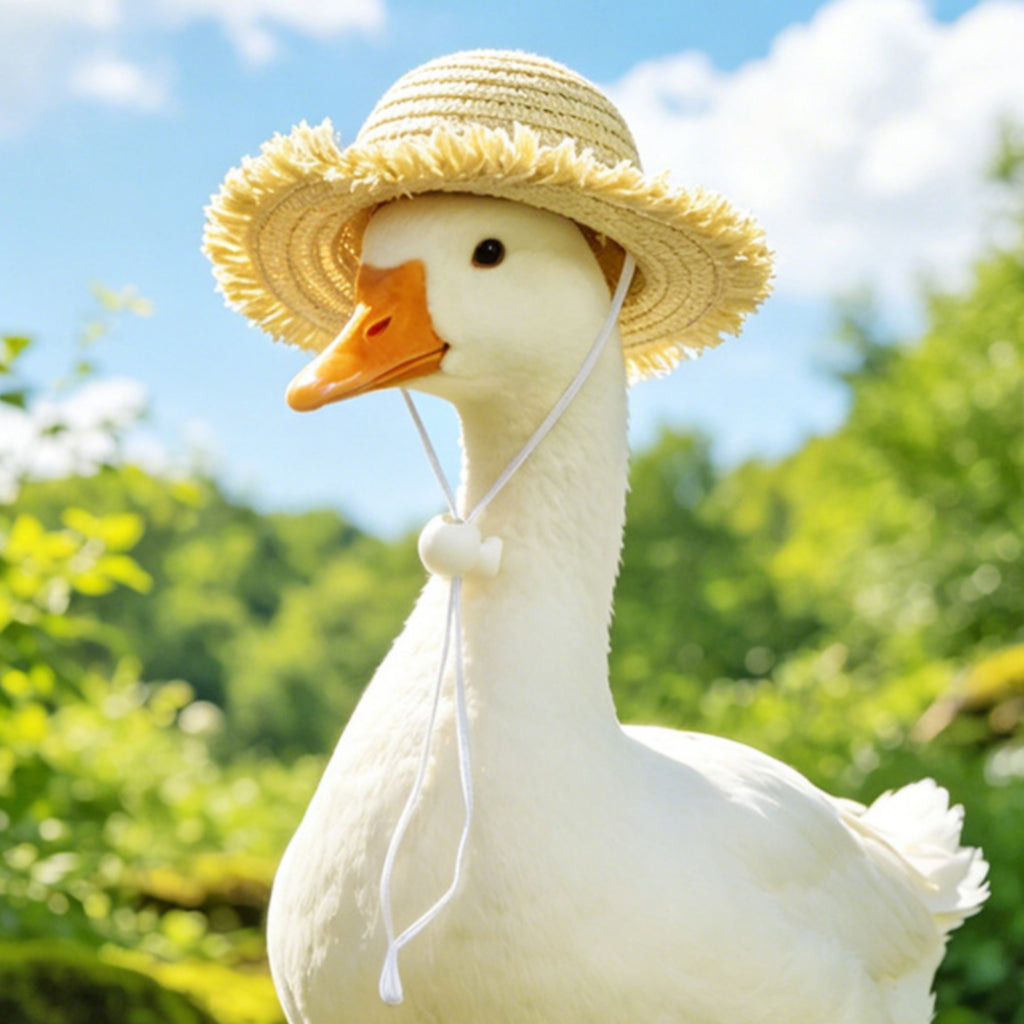 Pet Hat Set Wide Brim Woven Straw Collar Decorative
