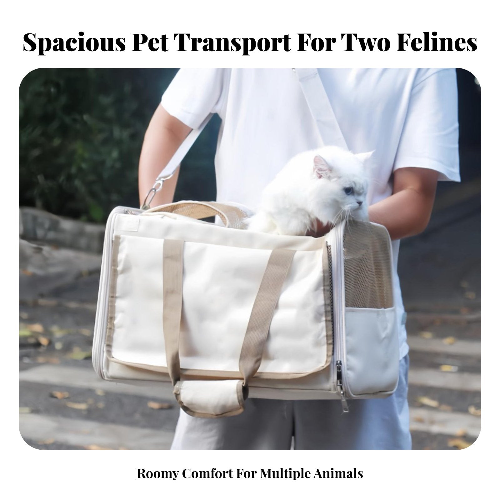 Soft-Sided Pet Tote Large Capacity Mesh Travel Bag for Pets Spacious Interior