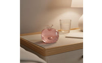 Apple Stress Ball Squeezable Rose Apple Soft for Desk