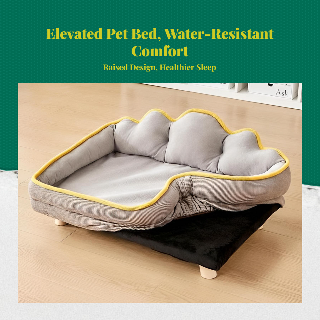 Breathable Elevated Dog Bed