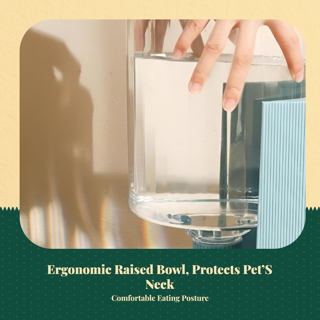 Automatic pet feeder with timer