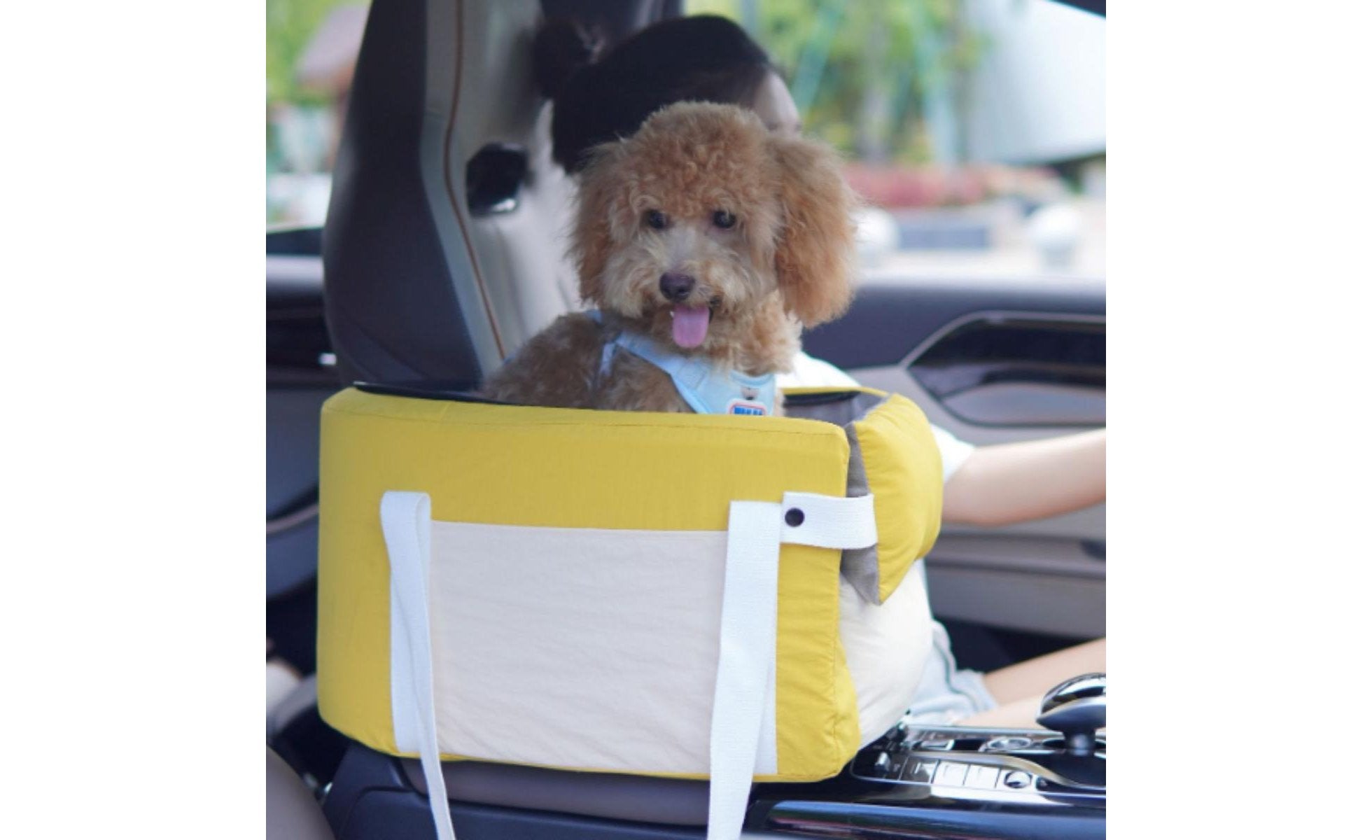 Middle Console Pet Carrier Removable and Washable Car Console Dog Seat