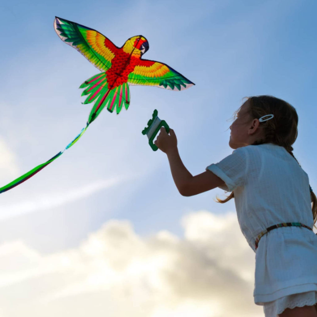Colorful Parrot Kite Large Wing Span Outdoor Toy for Park