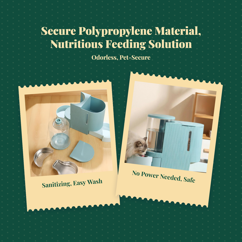 Automatic pet feeder with timer