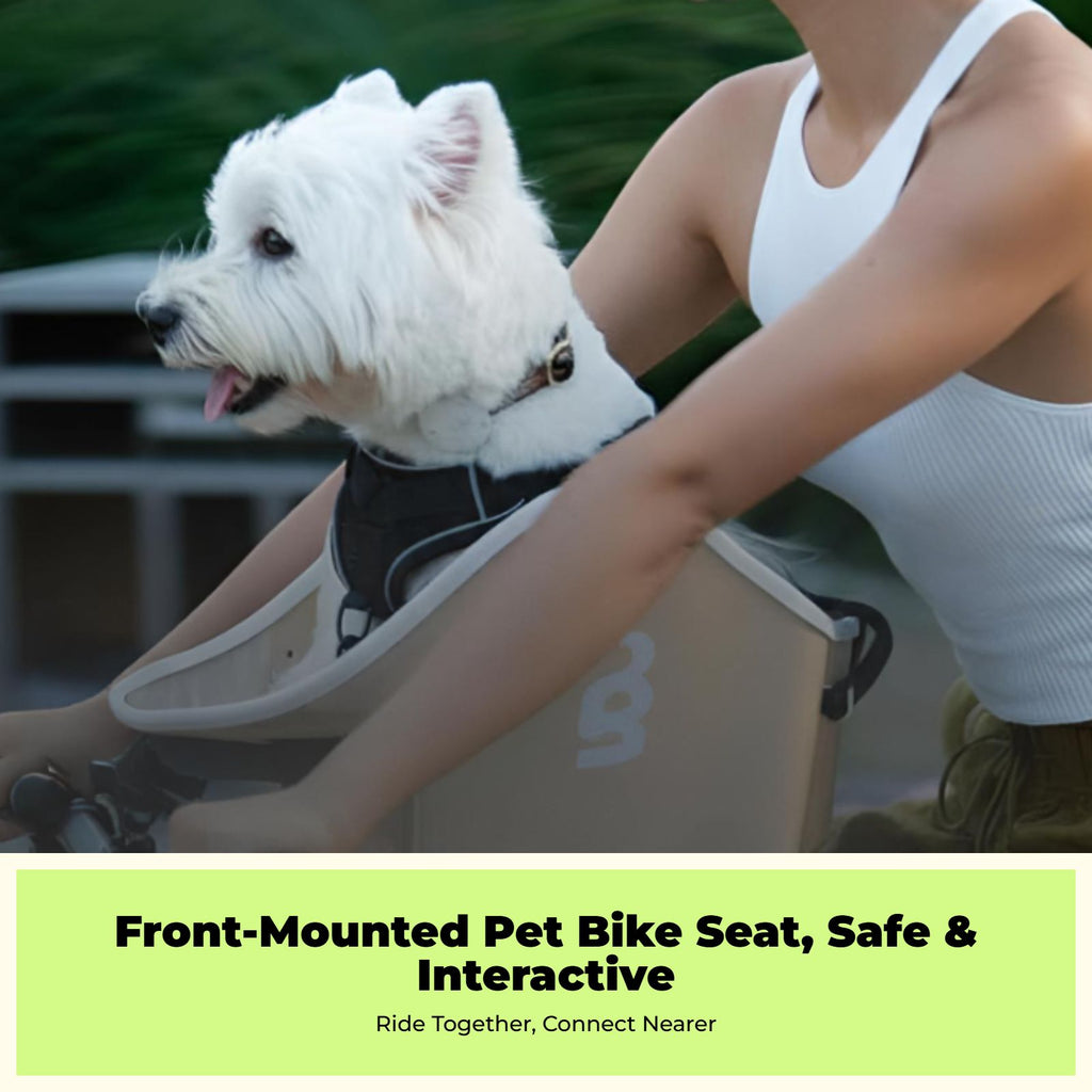 Padded bike basket for small dogs