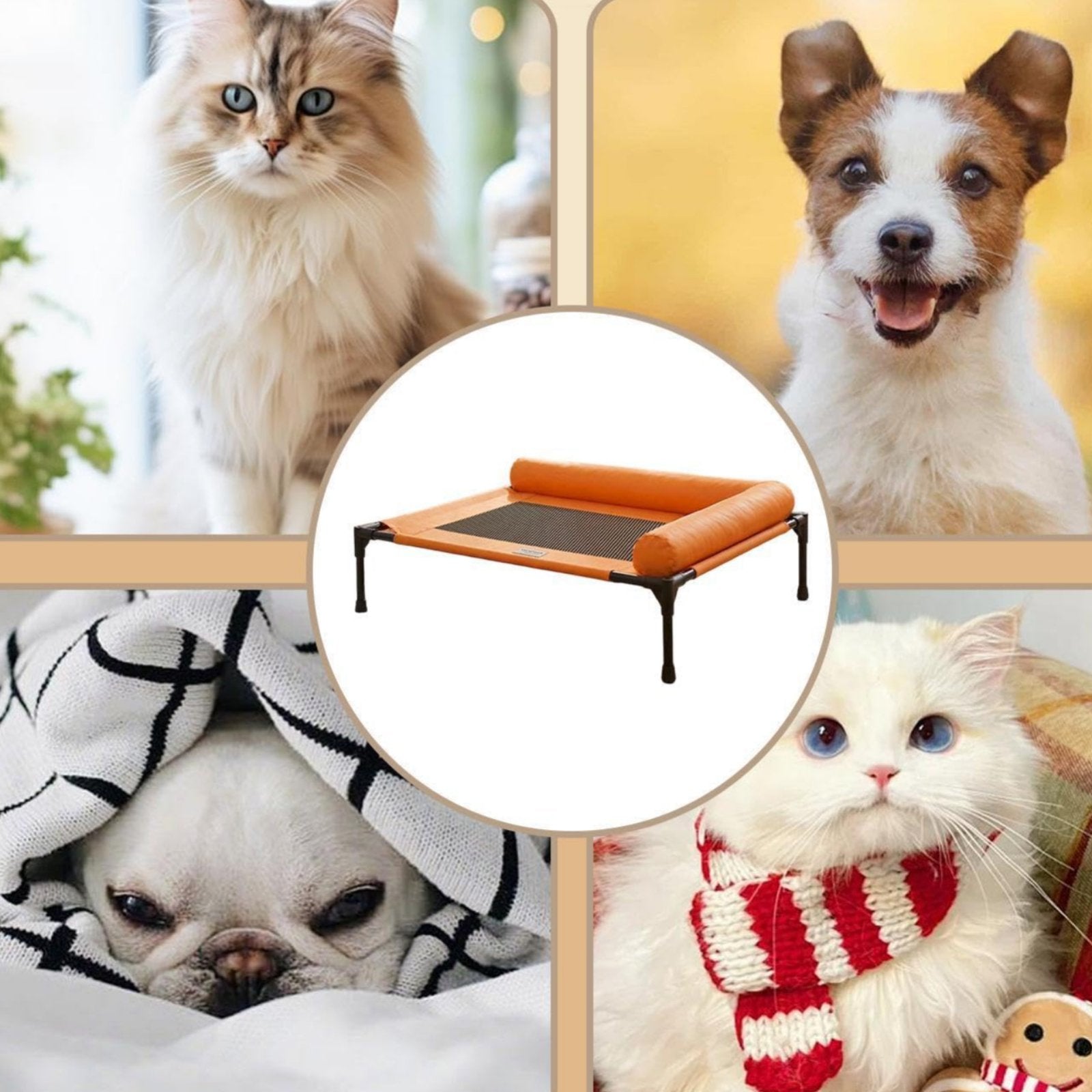 Year-Round Raised Dog Bed Washable Elevated Dog Cot Moisture-Proof Raised Pet Bed Easy to Clean for Small Dogs