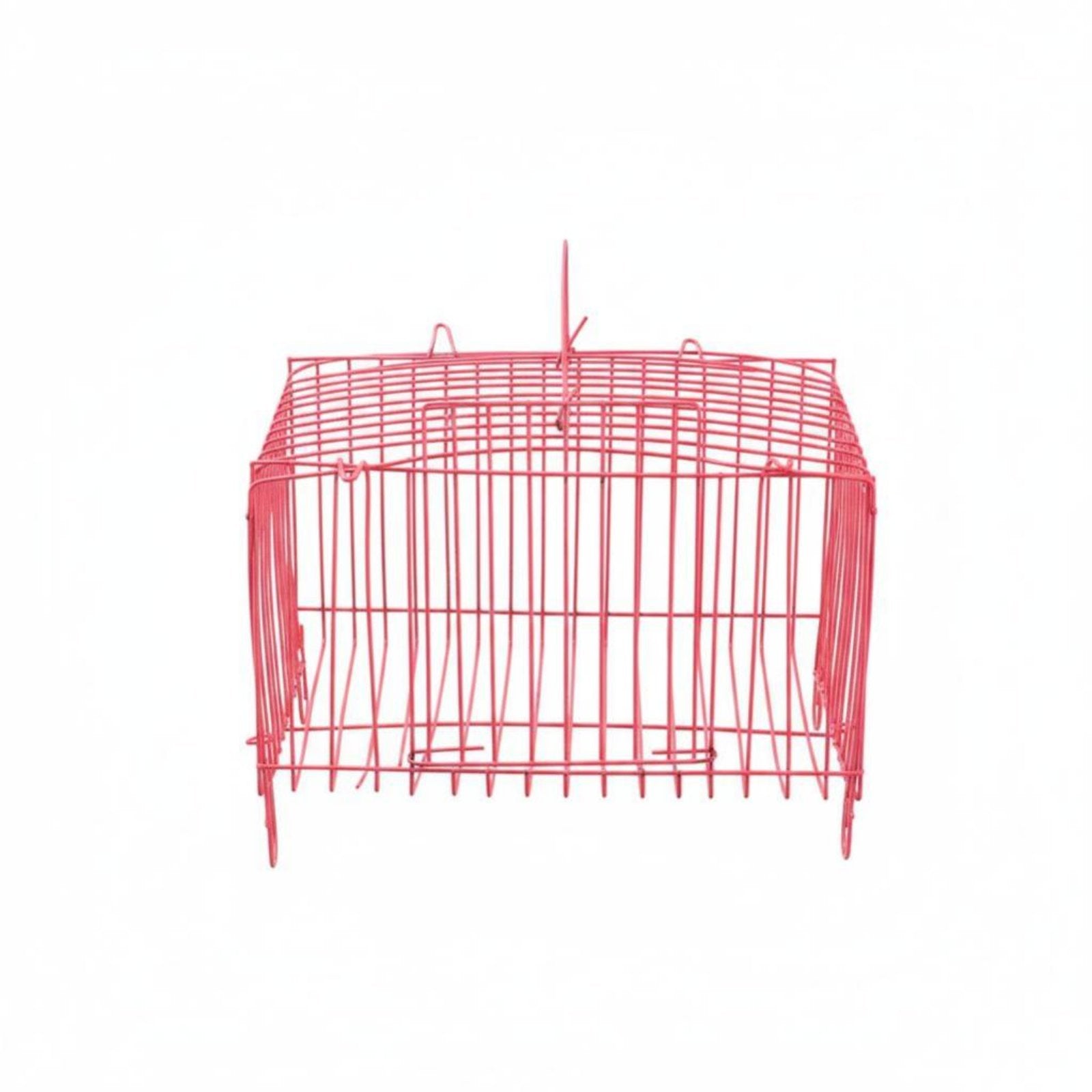 50 Pieces Hand-Held Chick enclosure Portable livingstock Crate Stackable for Farm, &fairplace