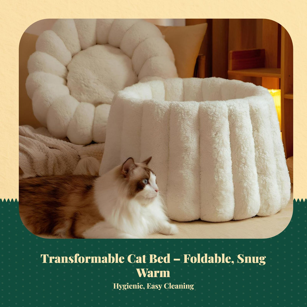 Cat Bed, Cozy Winter Pet Sofa, Washable Indoor House