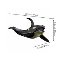 Realistic Animal Model Educational Marine Mammal Toy Cetacean Figure Model for Learning