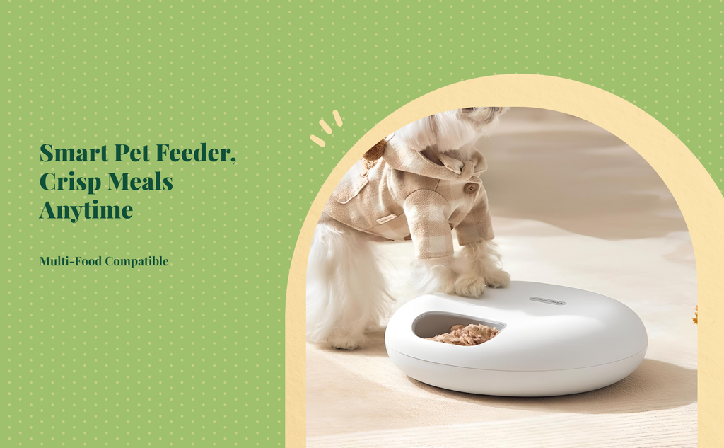 Programmable wet food cat feeder