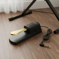 Sustain Pedal Polarity Switch Electronic Piano Foot Pedal 6.5mm Jack Synthesizer Footswitch for Home Studio