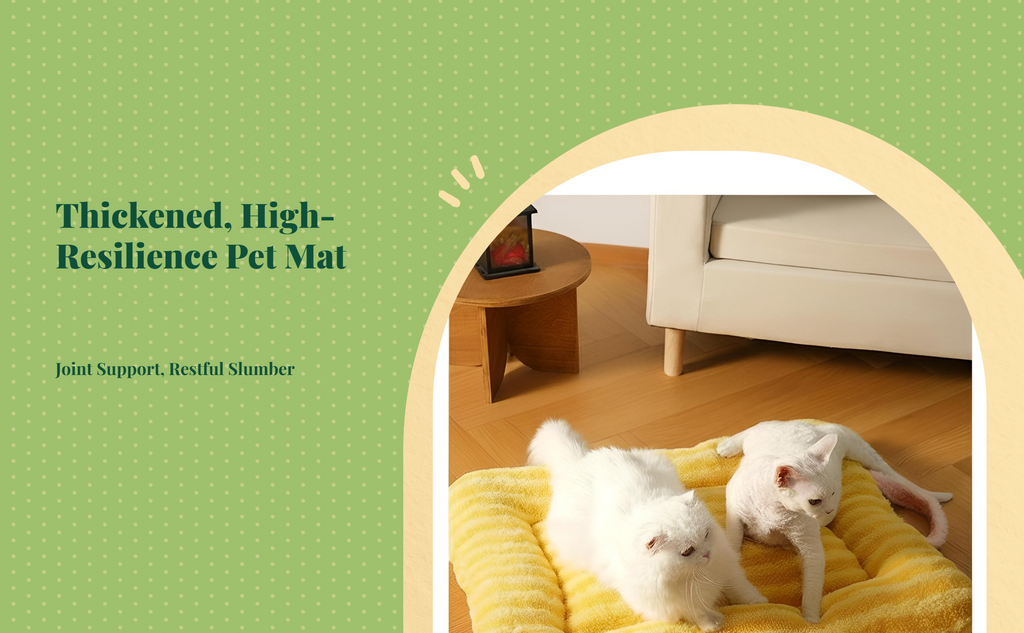 Thick washable double-sided cat bed