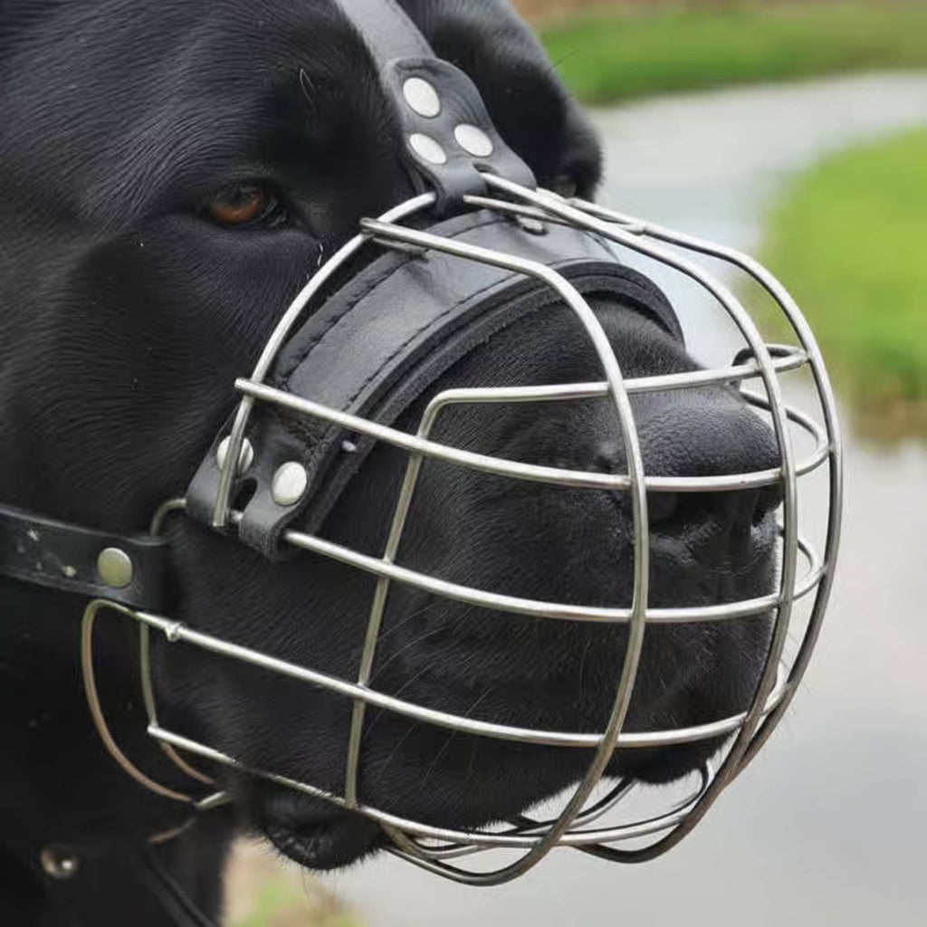 Metal Dog Muzzle Allows Panting Pet Gear Comfortable Padding