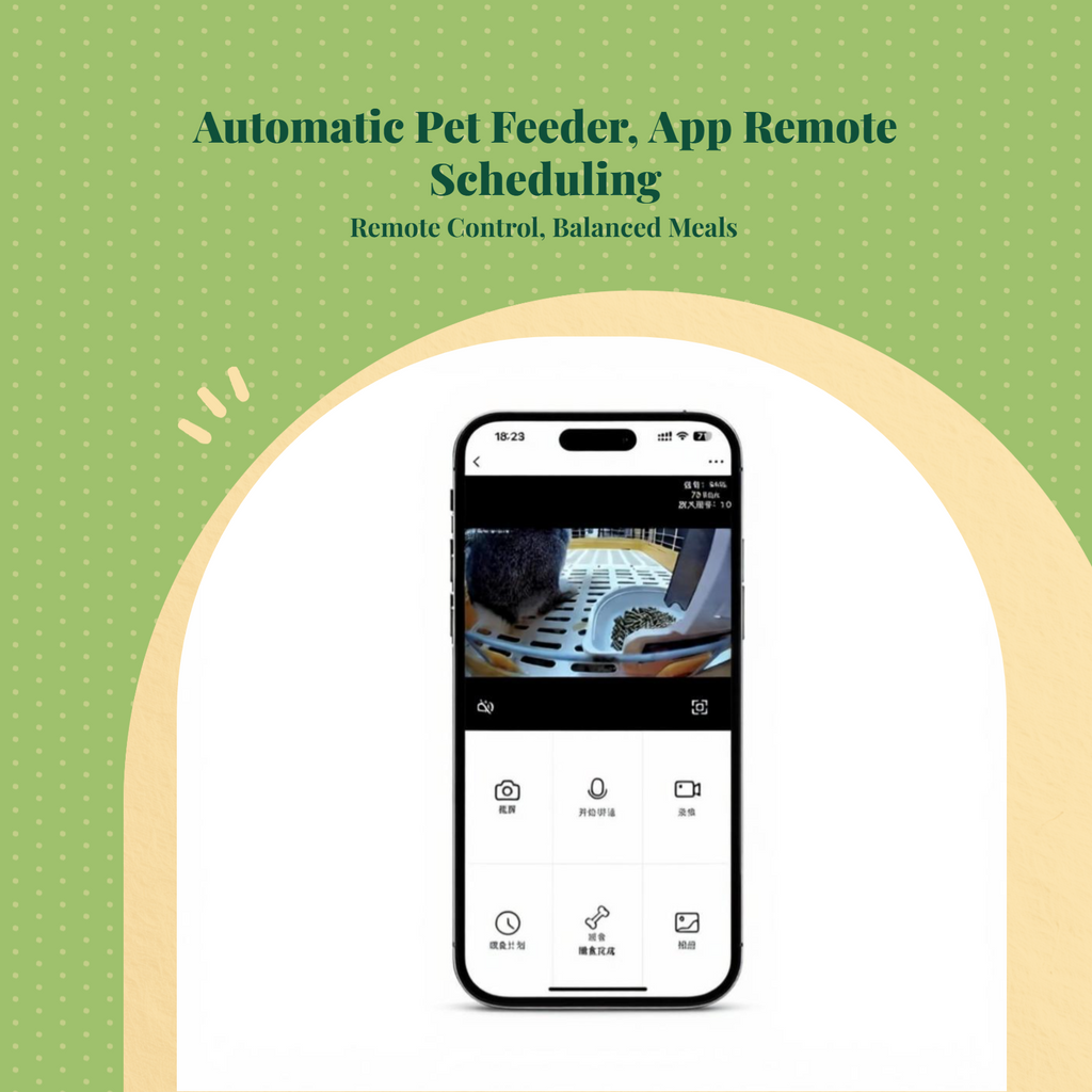 Automatic timed feeder for pets