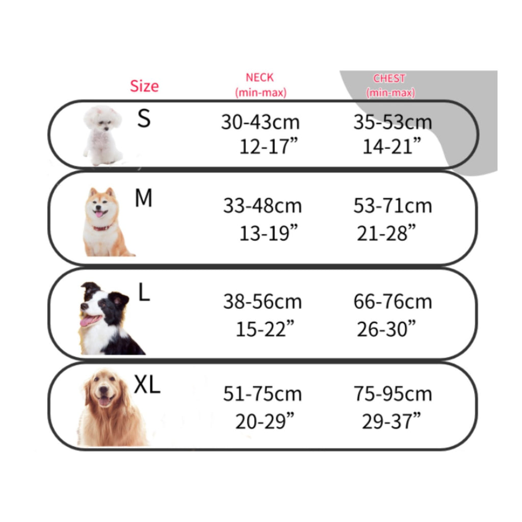 Dog Harness and Leash Set Easy Control Handle Pet Supplies for Walking, Training