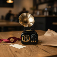 Vintage Gramophone Music Box Nostalgic Charm Retro Vinyl Disc Player Ornament