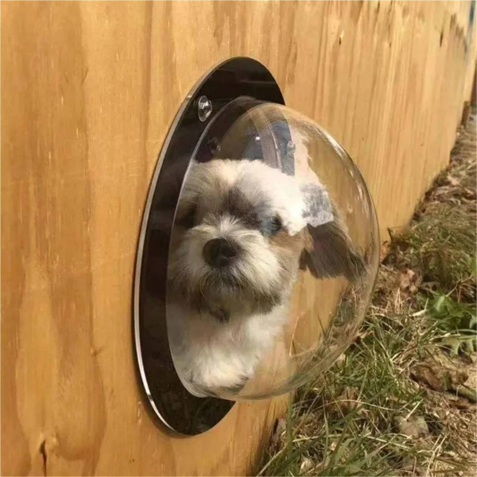 2x Clear Acrylic Bubble Window Half Round Transparent Pet Fence Window for Door