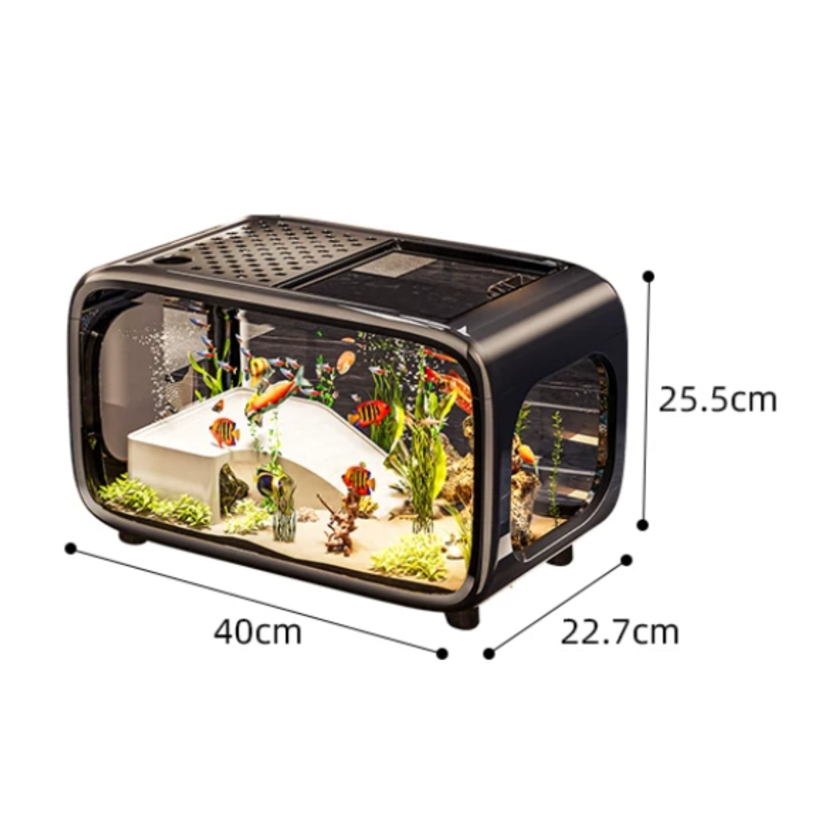 Natural Aquatic Landscape Aquarium Compact Size Small Aquarium Kit Easy to Clean